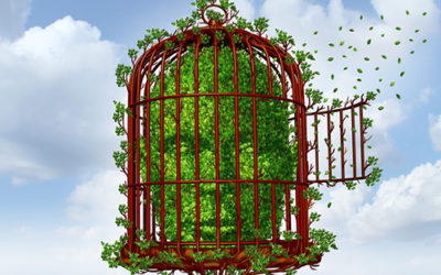 Η δική σας προσωπική ανάπτυξη